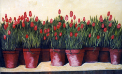 Tulips in a Row